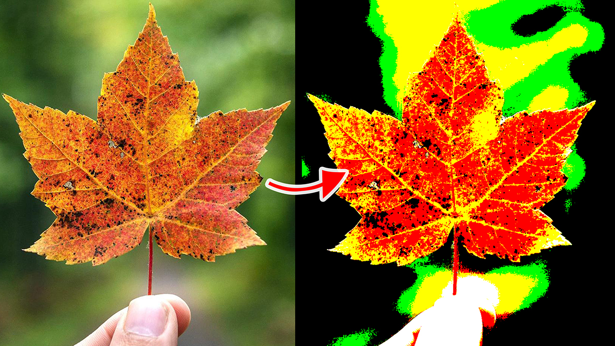 Blend Modes | Hard Mix Blend Mode