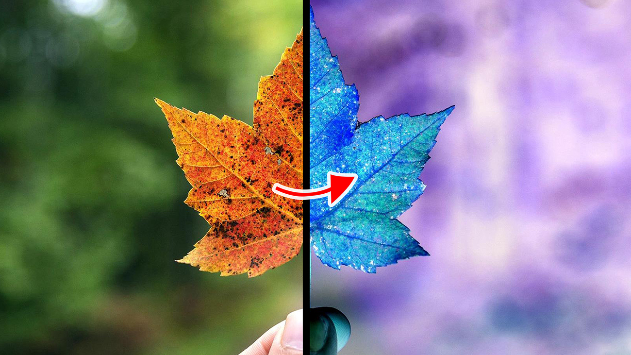 Blend Modes | Differene Blend Mode